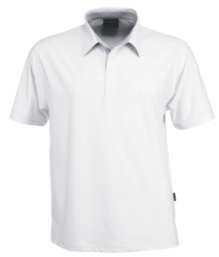 Picture of Stencil Mens Argent Polo