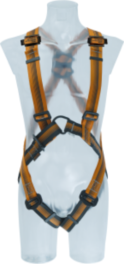 Picture of ARG 30 - Compliance level general purpose harness