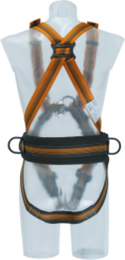 Picture of ARG 30 HR - Complete  padded waist band & pole strap D rings.  - UNISIZE