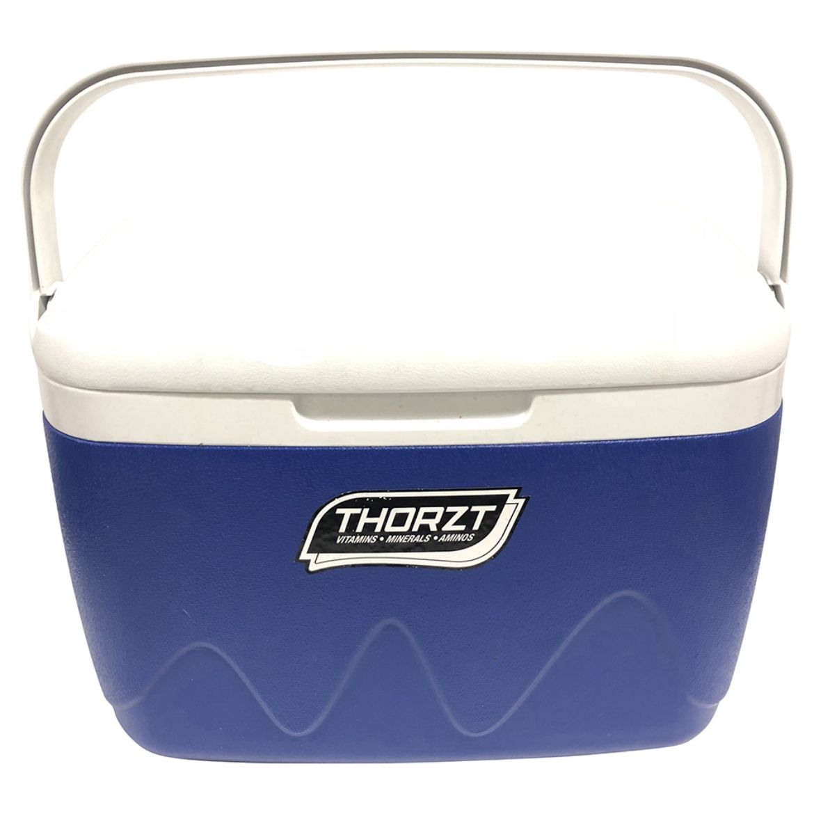 Picture of THORZT ICE BOX 21 LITRE