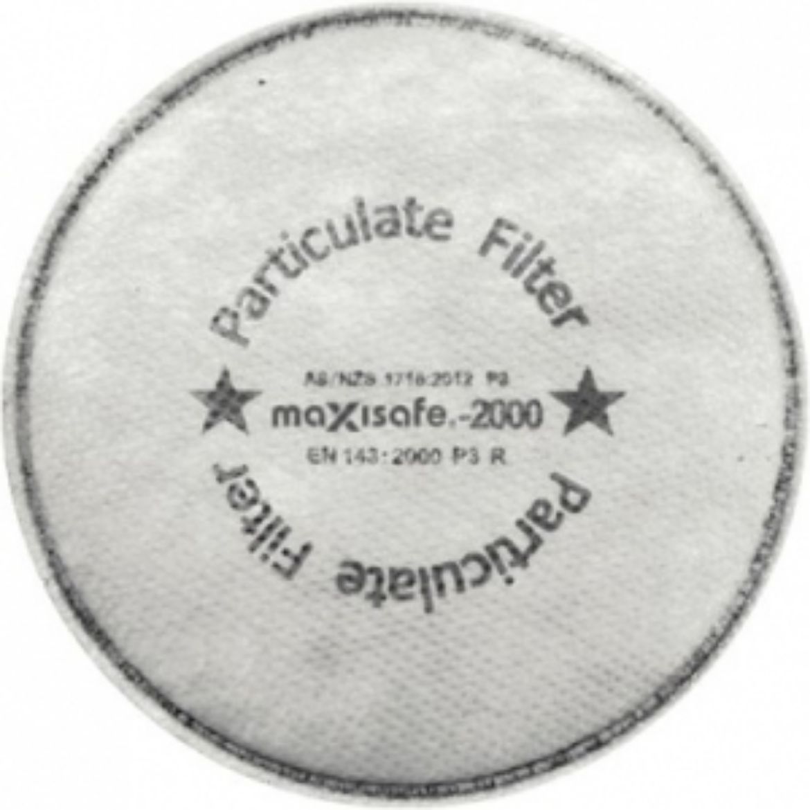 Picture of Maxiguard P3 Particulate Filter - 1 pair