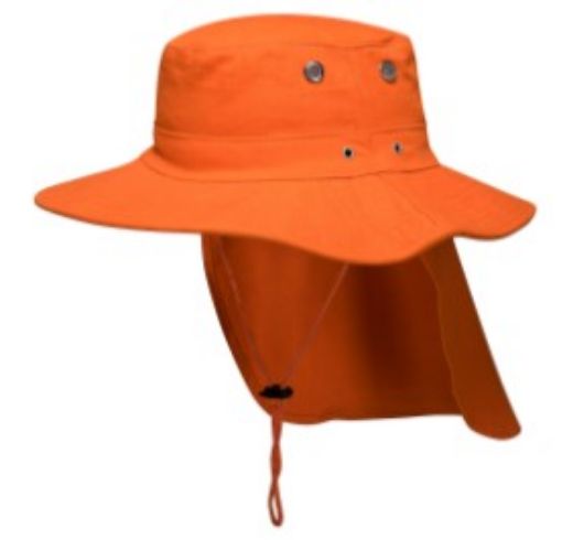 Picture of Wide Brim Hat