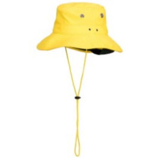 Picture of Wide Brim Hat